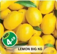 Lemon Big