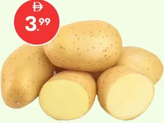 Potato Syria