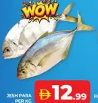 Jesh Para