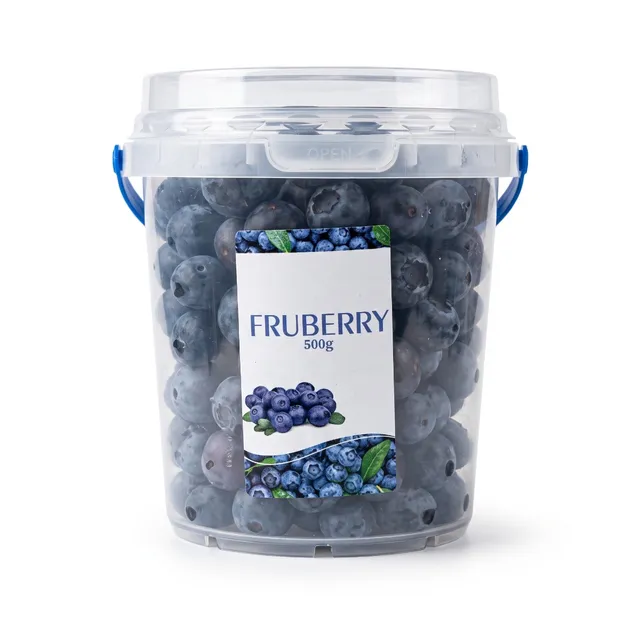 Blueberry Bucket - Morocco