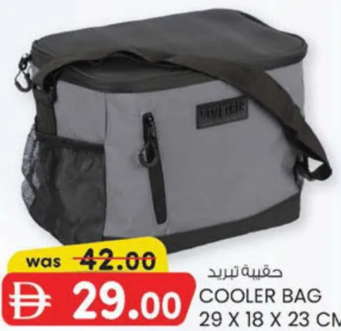 Cooler Bag