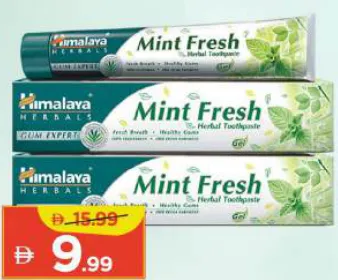 Himalaya Mint Fresh Herbal Toothpaste