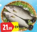 kalanchi