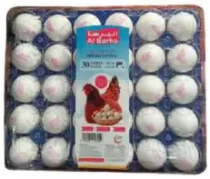 Al Barha طبق بيض أبيض
