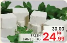 Fresh Paneer