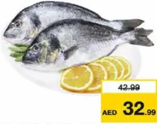 سمك سيبريم (محلي