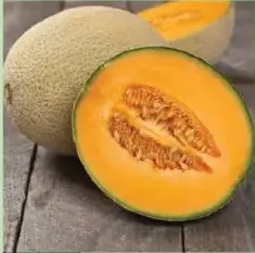 شمام حلو هندي