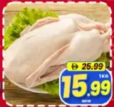 Fresh Duck