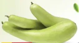 Bottle Gourd