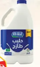 Marmum حليب طازج كامل الدسم من مرموم
