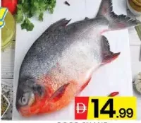 Roop Chand (Chinese Pomfret)