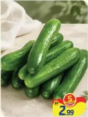 Cucumber