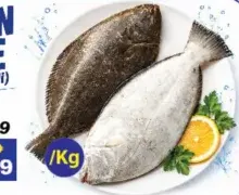 Lemon Sole Ayrampalli