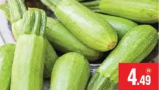 Marrow Big