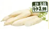 Radish White