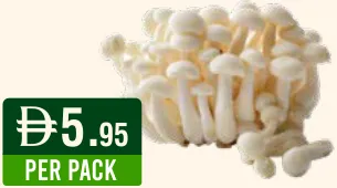 Mushroom White/Brown/Enoki/Snow White/King Oster China