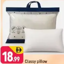 Classy pillow