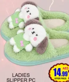 Ladies Slipper