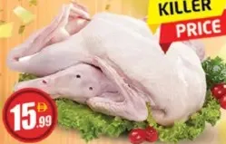 Duck