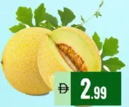 Rockmelon Iran