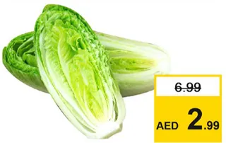 Lettuce Romaine