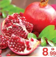 Anar Yemen