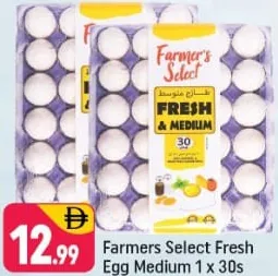 Farmers Select بيض أبيض