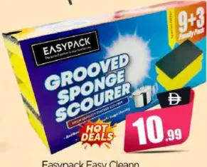 Easypack Easy Clean Sponge Family Pack Grooved Scourer