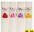 Enchanteur Talc Assorted