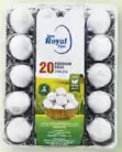 Royal بيض طازج