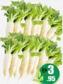 فجل