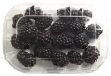 Blackberry