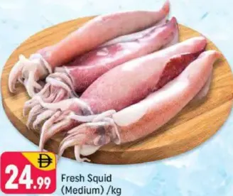 Fresh Squid Medium