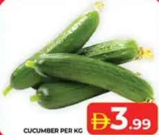 Cucumber