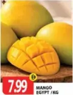 Mango Egypt