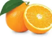 Navel Orange