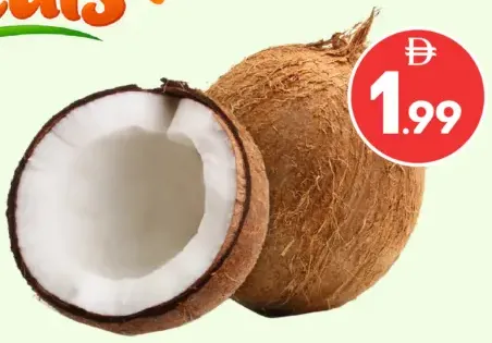 Hard Coconut