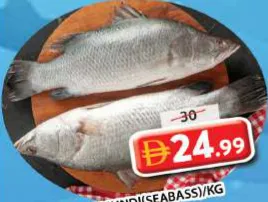 Barramundi(Seabass)