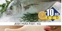 Jesh Para Fish