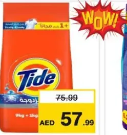 Tide Washing Powder Green Lavender/Regular