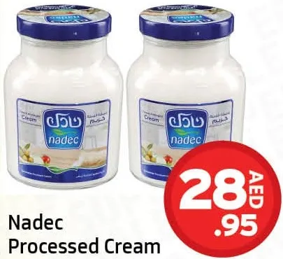 Nadec جبنة كريمية معالجة