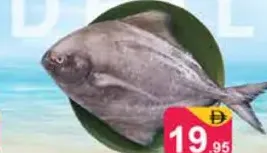 Pomfret Black