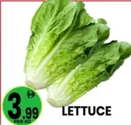 خس