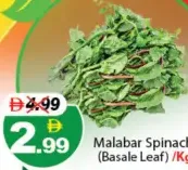 سبانخ مالابار (ورق باسال)