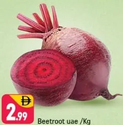 شمندر
