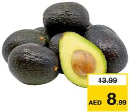 أفوكادو هاس كينيا