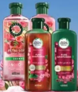 Herbal Essences شامبو غارنييه + بلسم متنوع