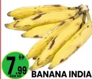 Banana India