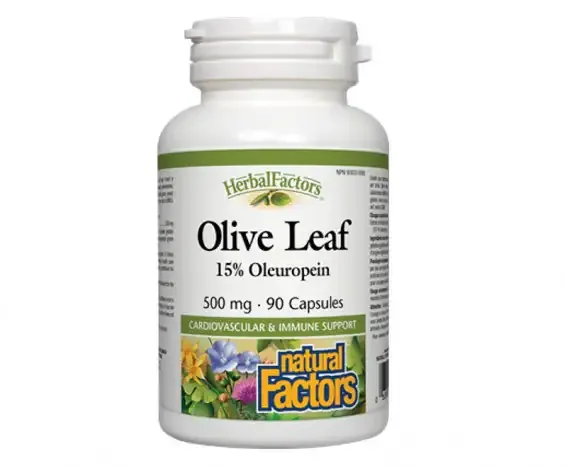 herbal essences Natural Factors Olive Leaf 500Mg 90CAPS