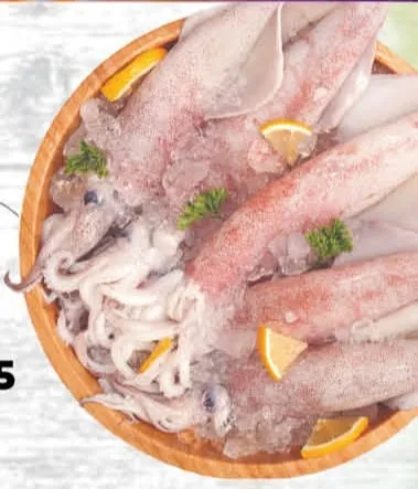 Squid Big